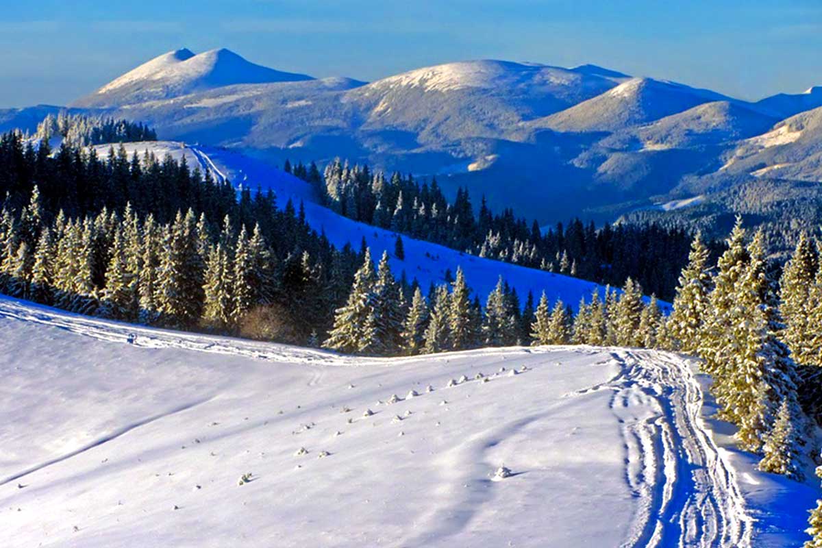 Красивая дорога в Карпатах